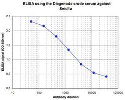 SETD1A Rabbit anti-Human, Mouse, Polyclonal, Novus Biologicals 25 &mu;g;